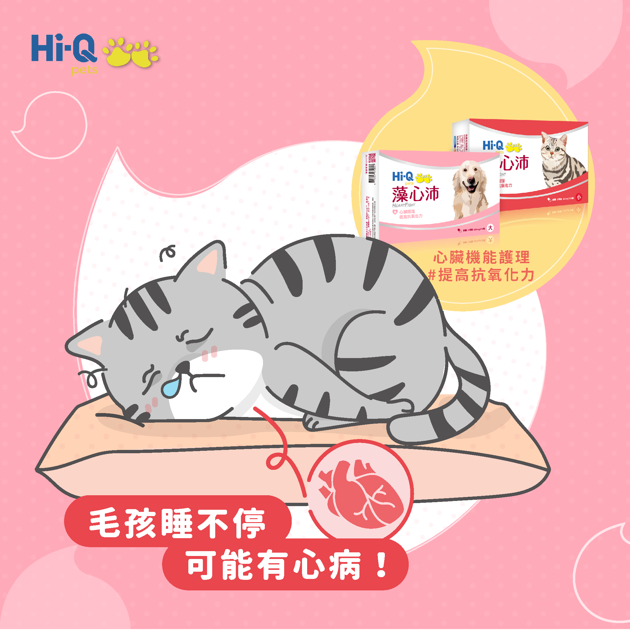 毛孩睡不停，可能有心病