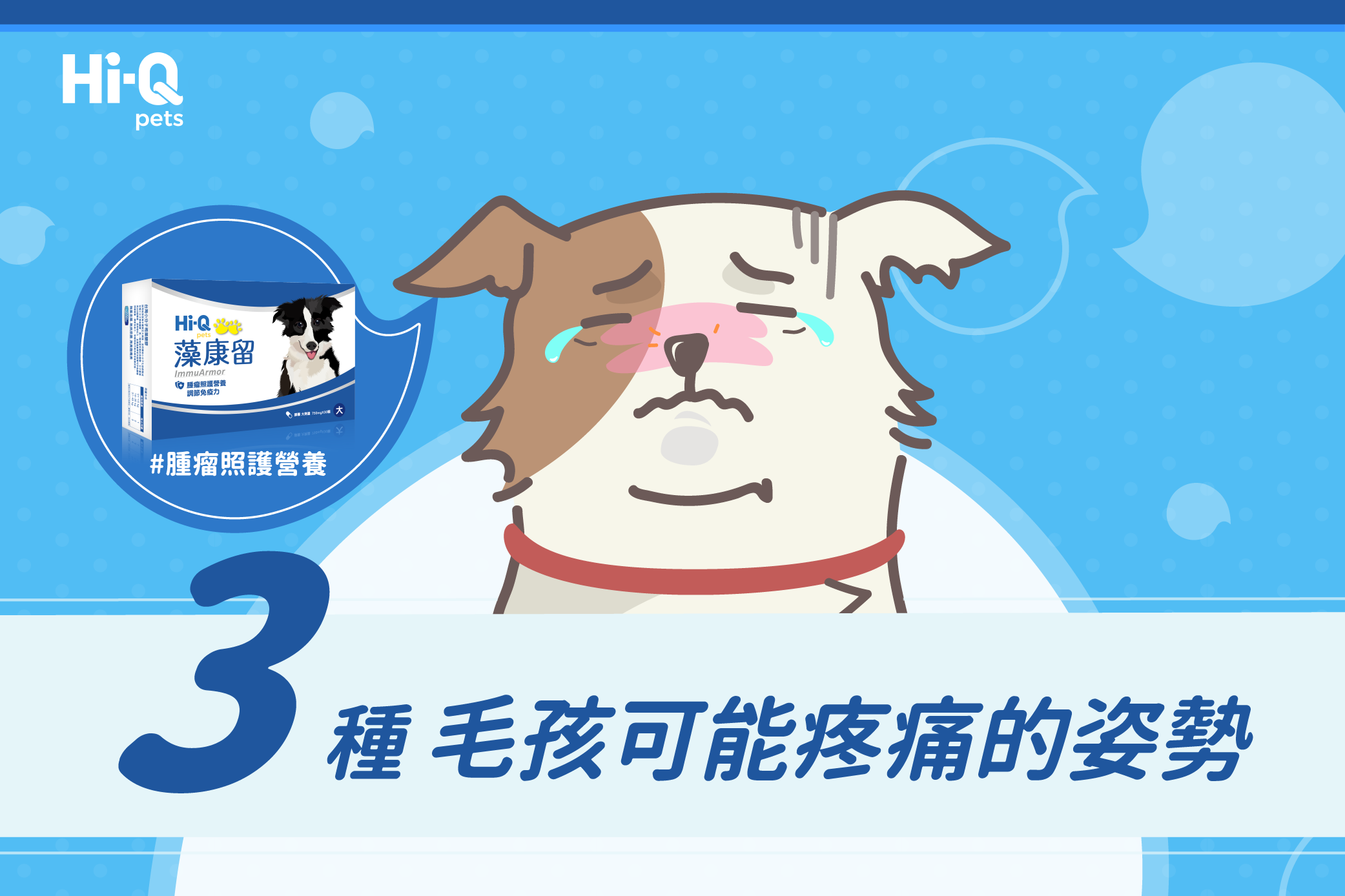 3種毛孩可能疼痛的姿勢
