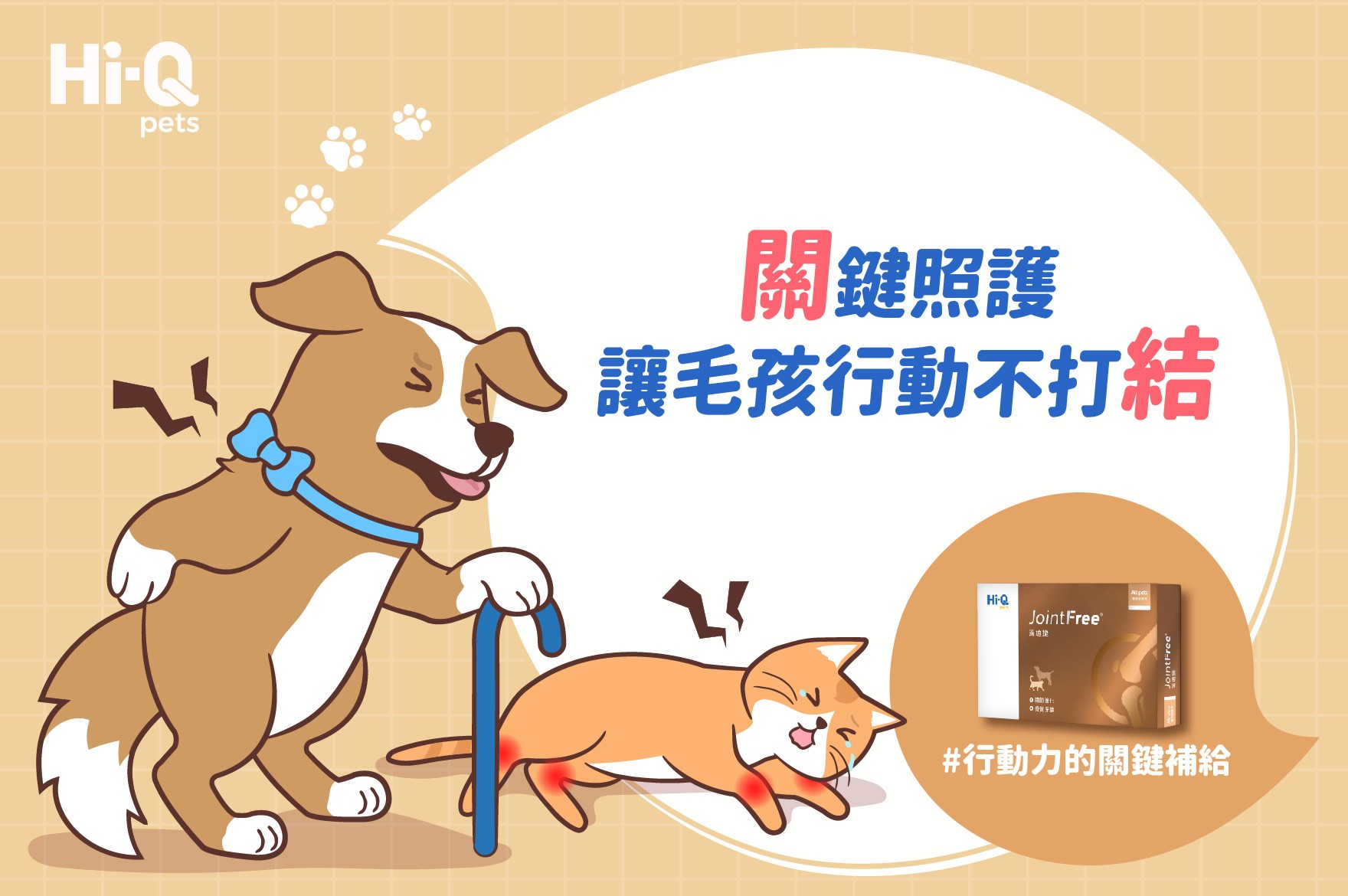 關鍵照護，讓毛孩行動不打結!簡映婷醫師帶你認識關節炎