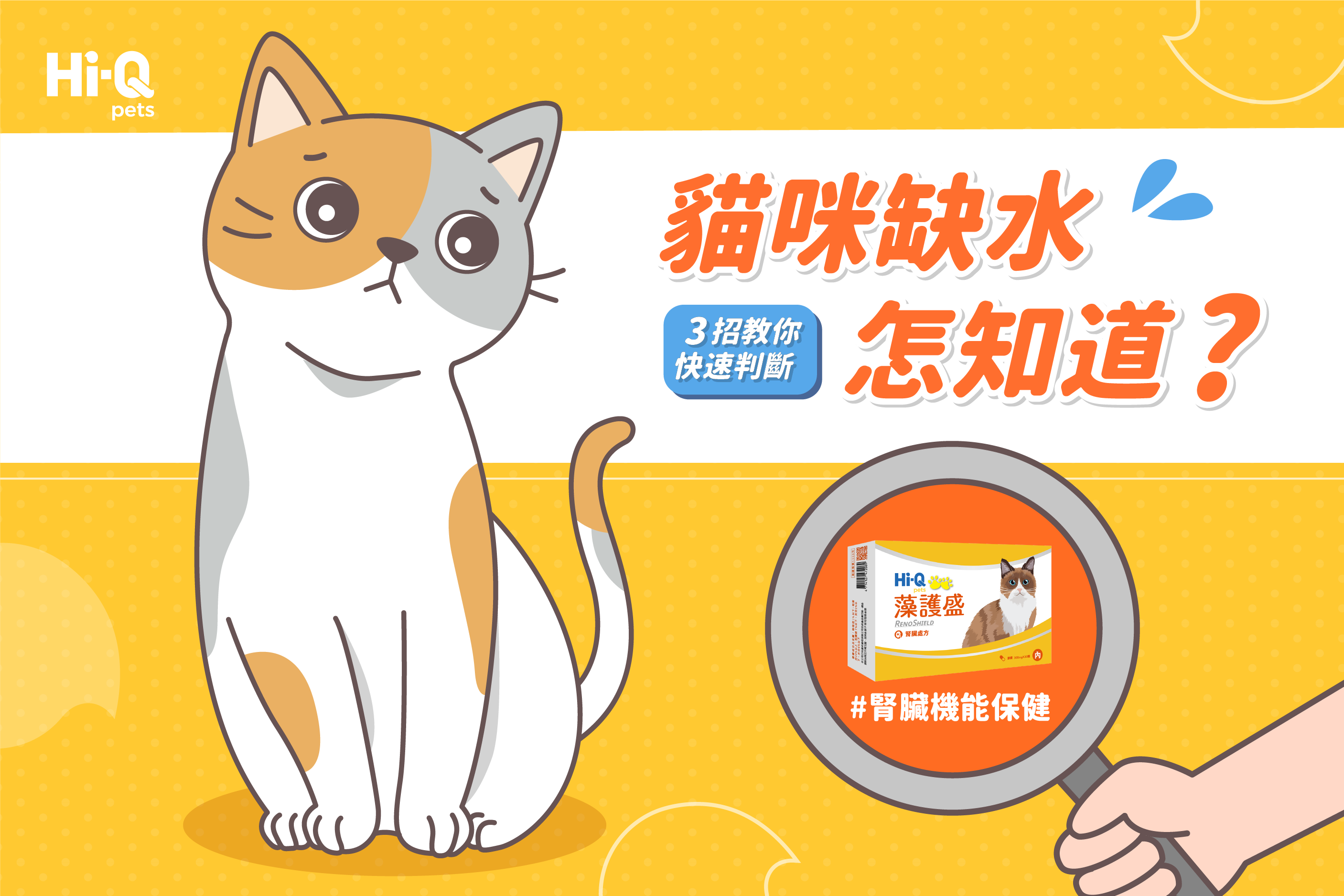 貓咪缺水怎知道？