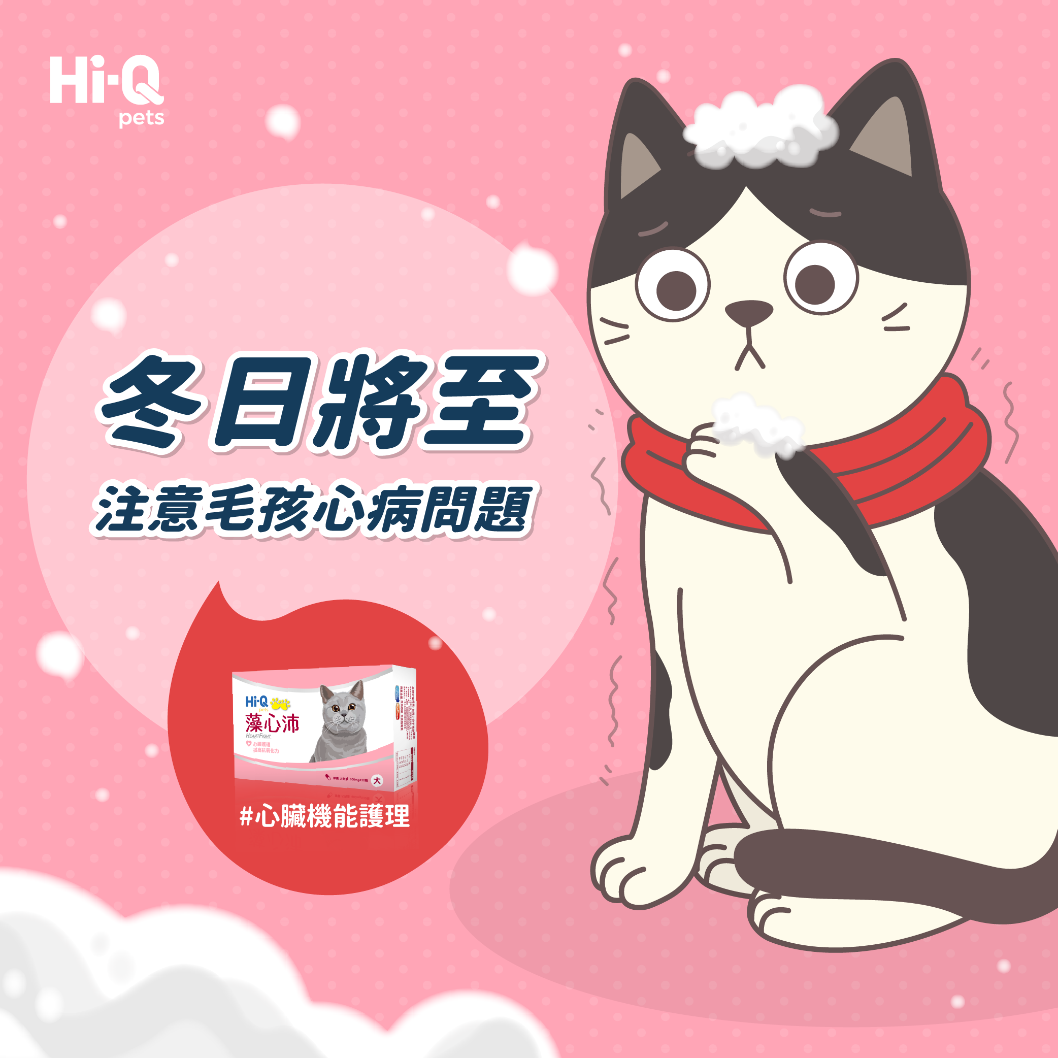 冬日將至注意毛孩心病問題
