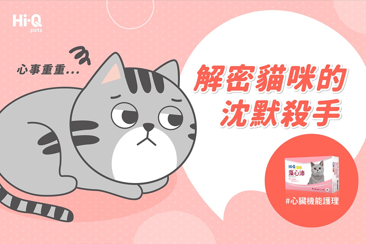 解密貓咪的沈默殺手