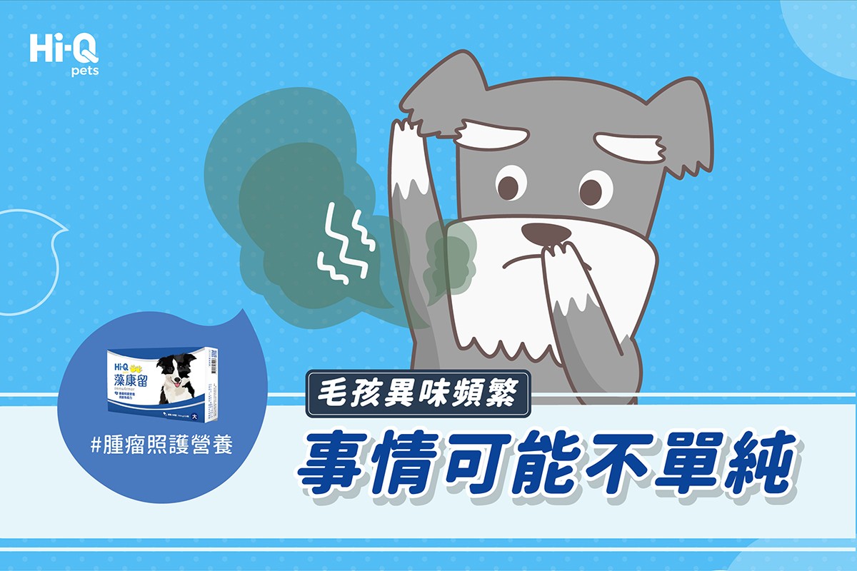 毛孩異味頻繁，事情可能不單純