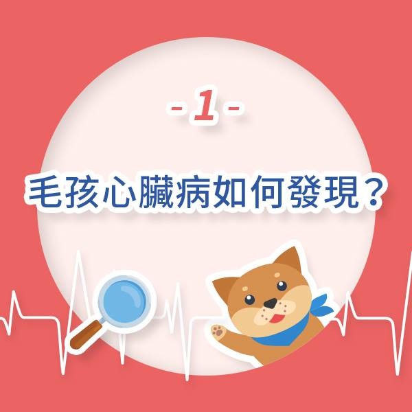 毛孩心臟病照護 Q&A