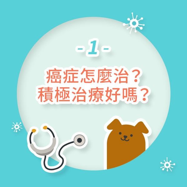 毛孩罹癌照護 Q&A