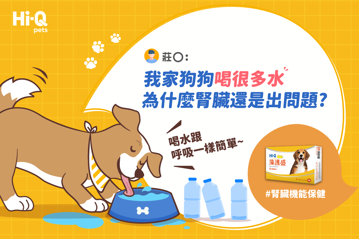 我家狗狗喝很多水，為甚麼腎臟還是出問題？