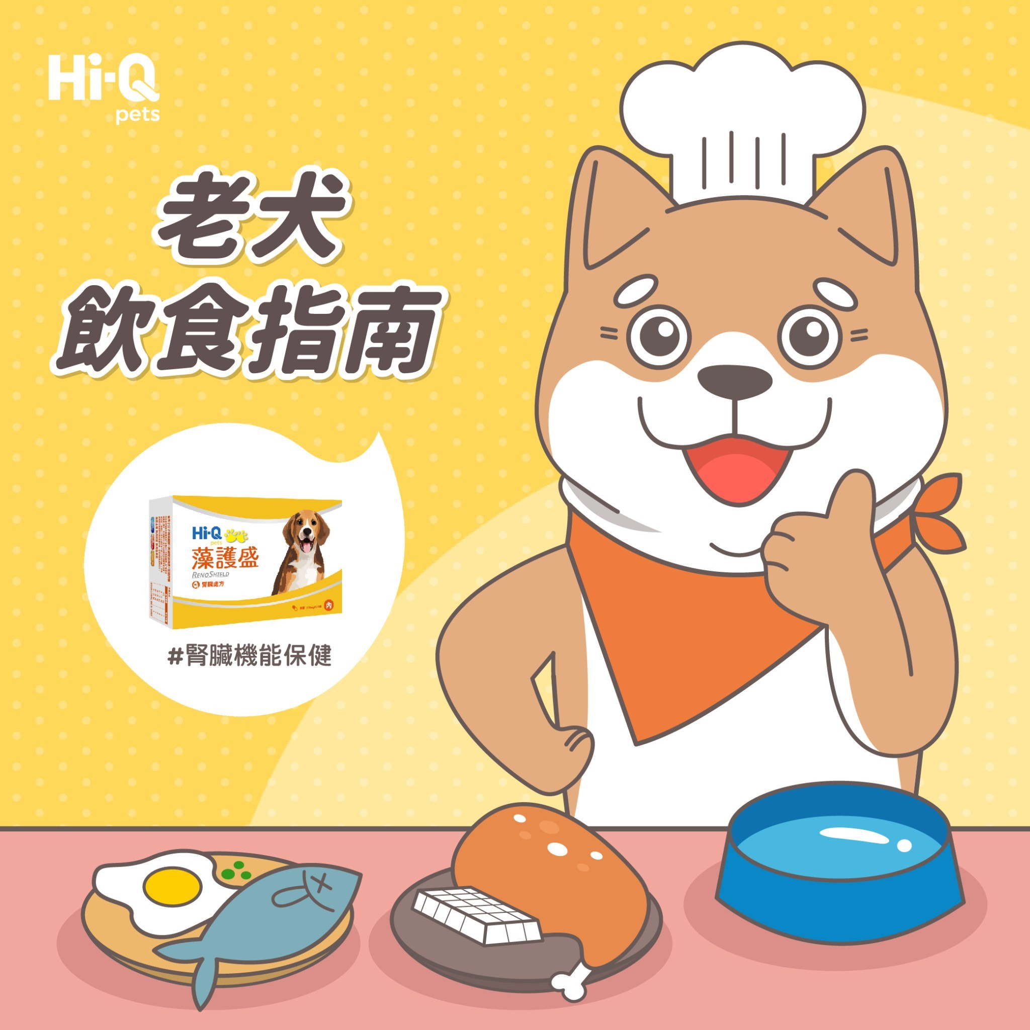 老犬飲食指南