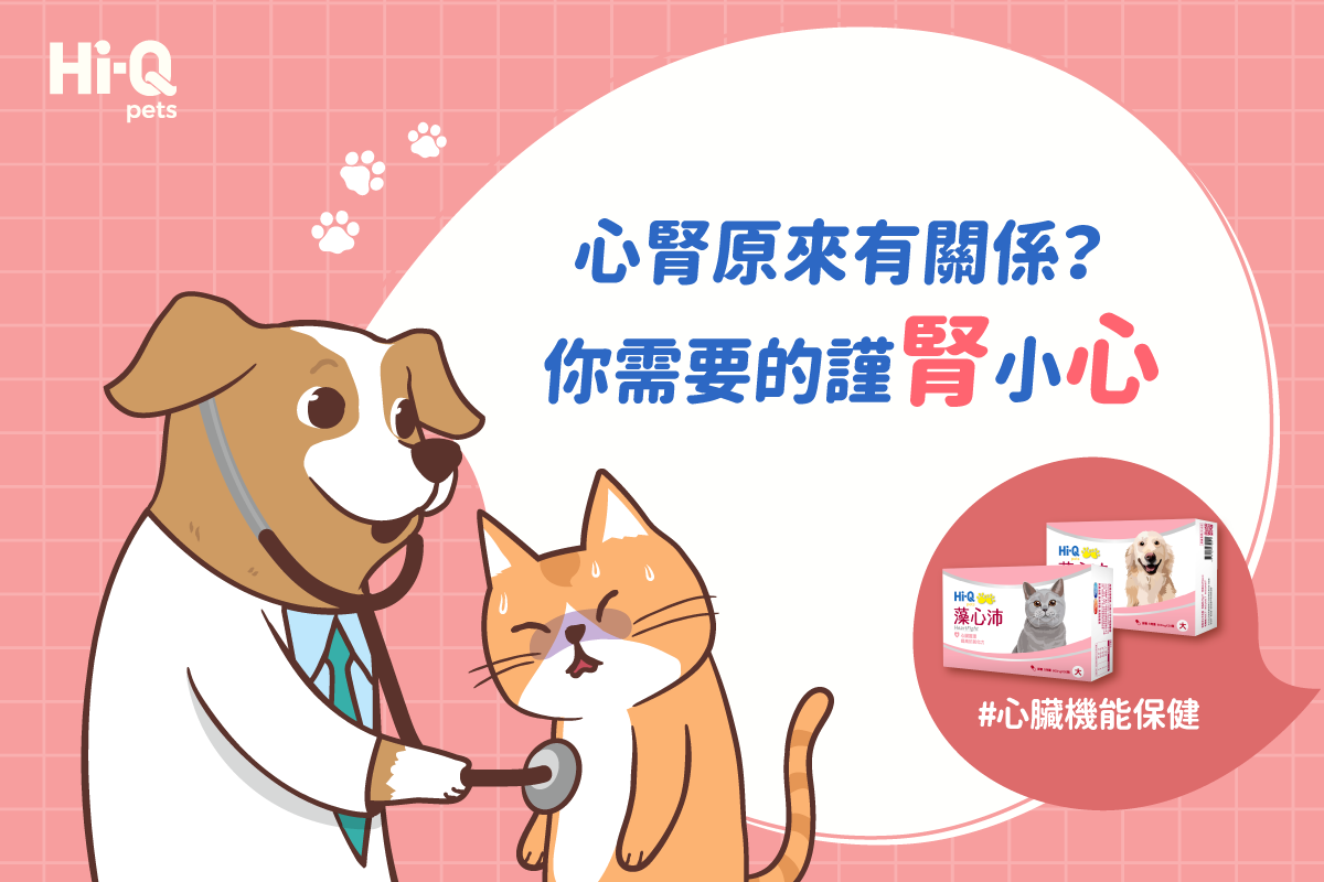 寵物的心臟病與腎臟病會相互影響？陳俊達醫師專業解析 ！