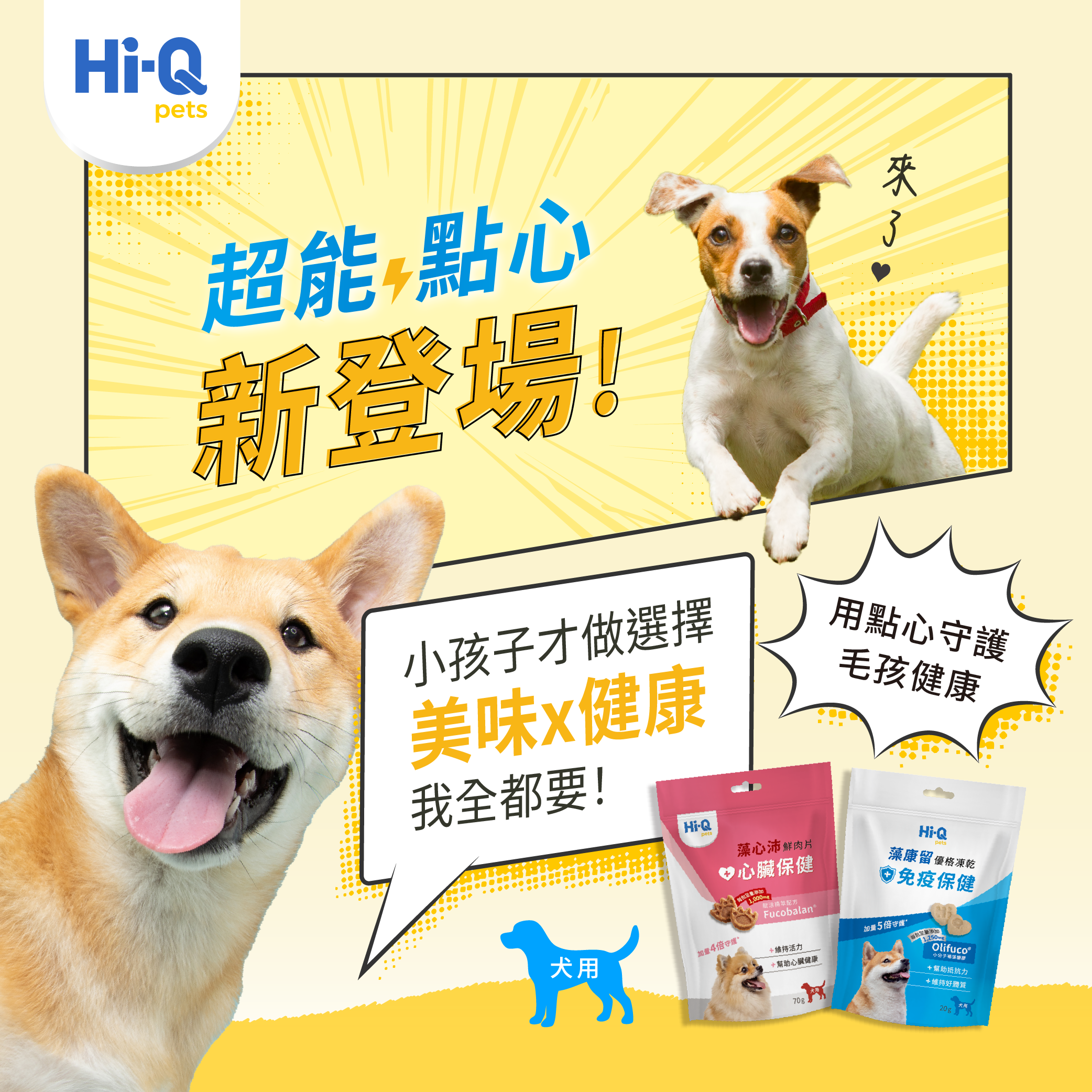 Banner Popup