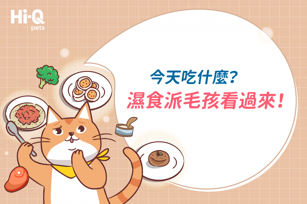 吃鮮食對寵物比較好？該從何開始嘗試？星辰動物醫院吳院長來解惑