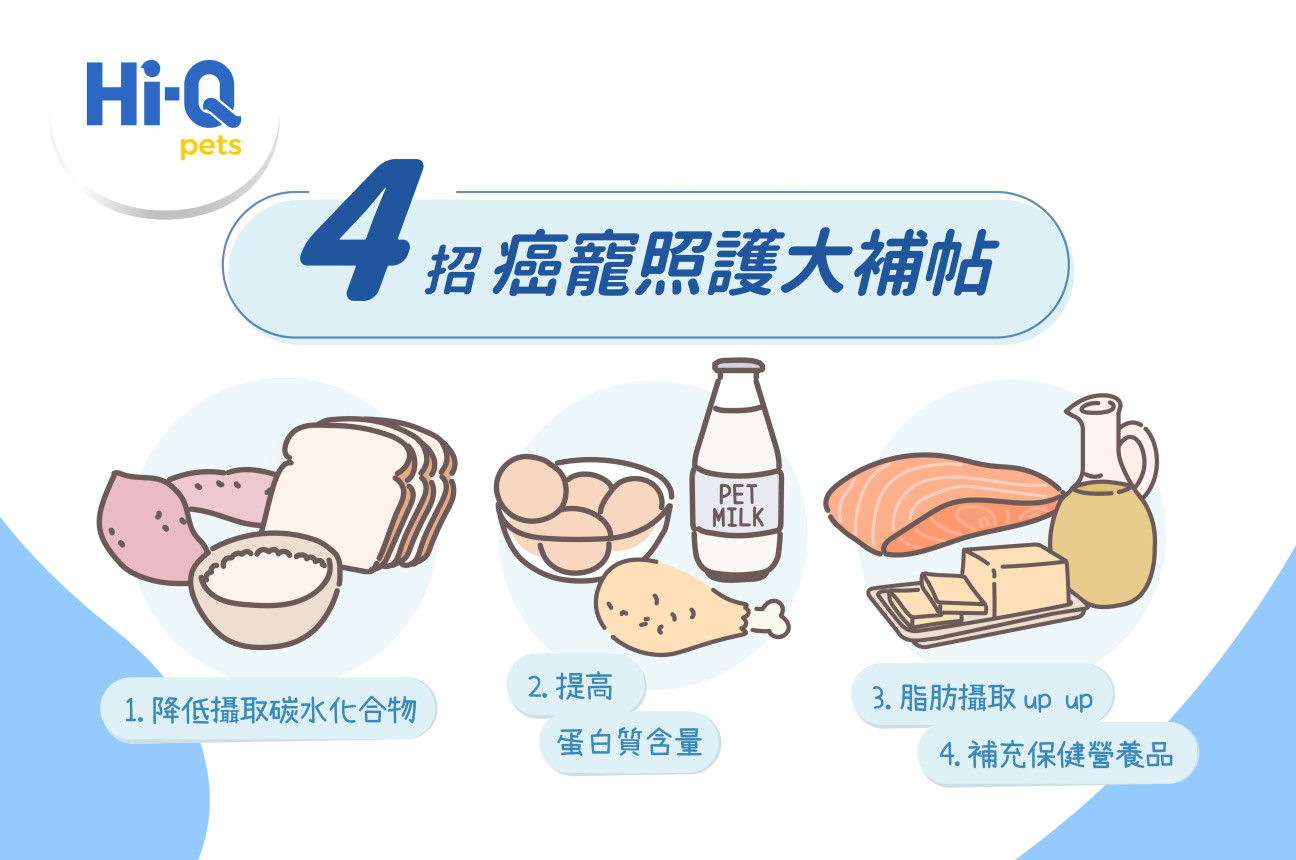毛孩腫瘤營養照護大補帖