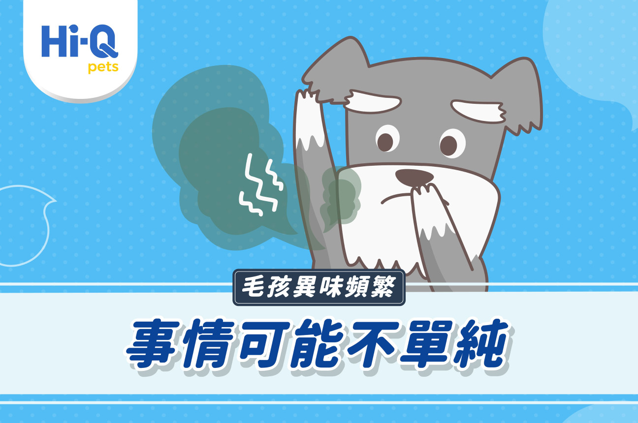 毛孩異味頻繁，事情可能不單純