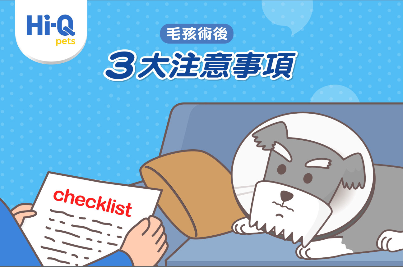 毛孩術後3大注意事項