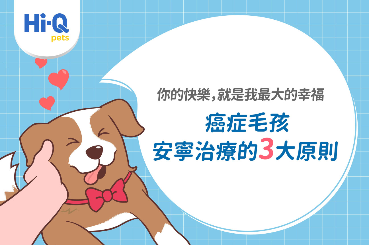 維持癌末毛孩的生活品質，與李繼忠醫師一起了解安寧治療