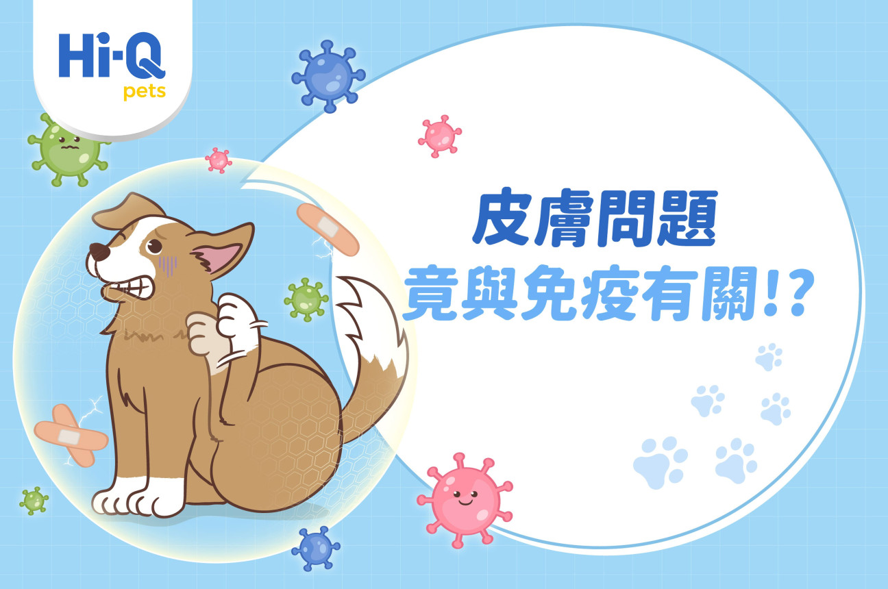 皮膚問題 竟與免疫有關？！