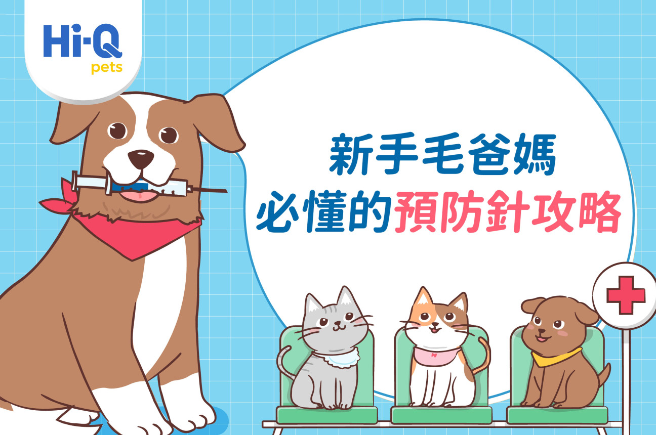 新手毛爸媽必懂的預防針攻略