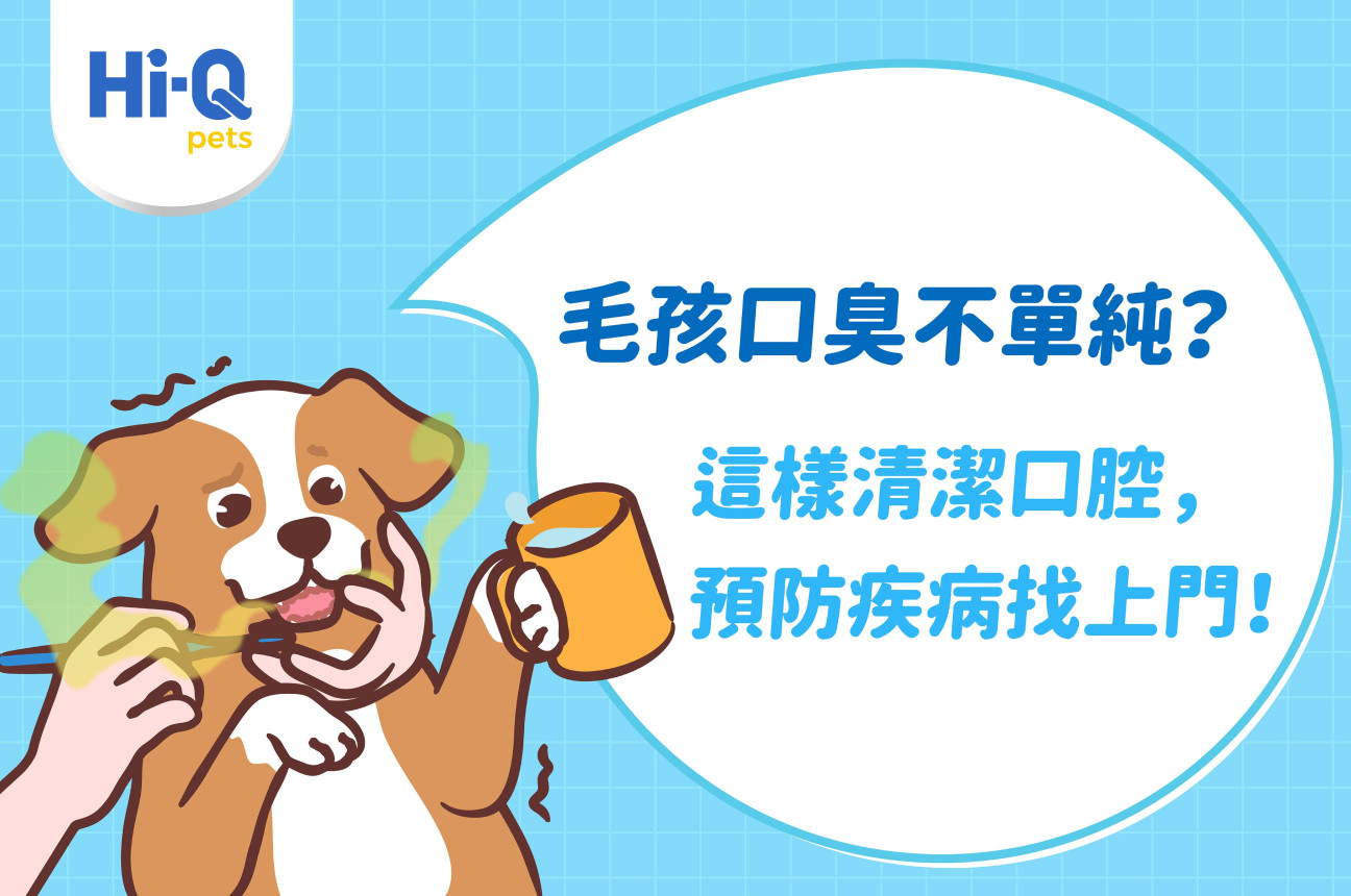 毛孩口臭不單純！陳博駿醫師教你正確犬貓口腔清潔