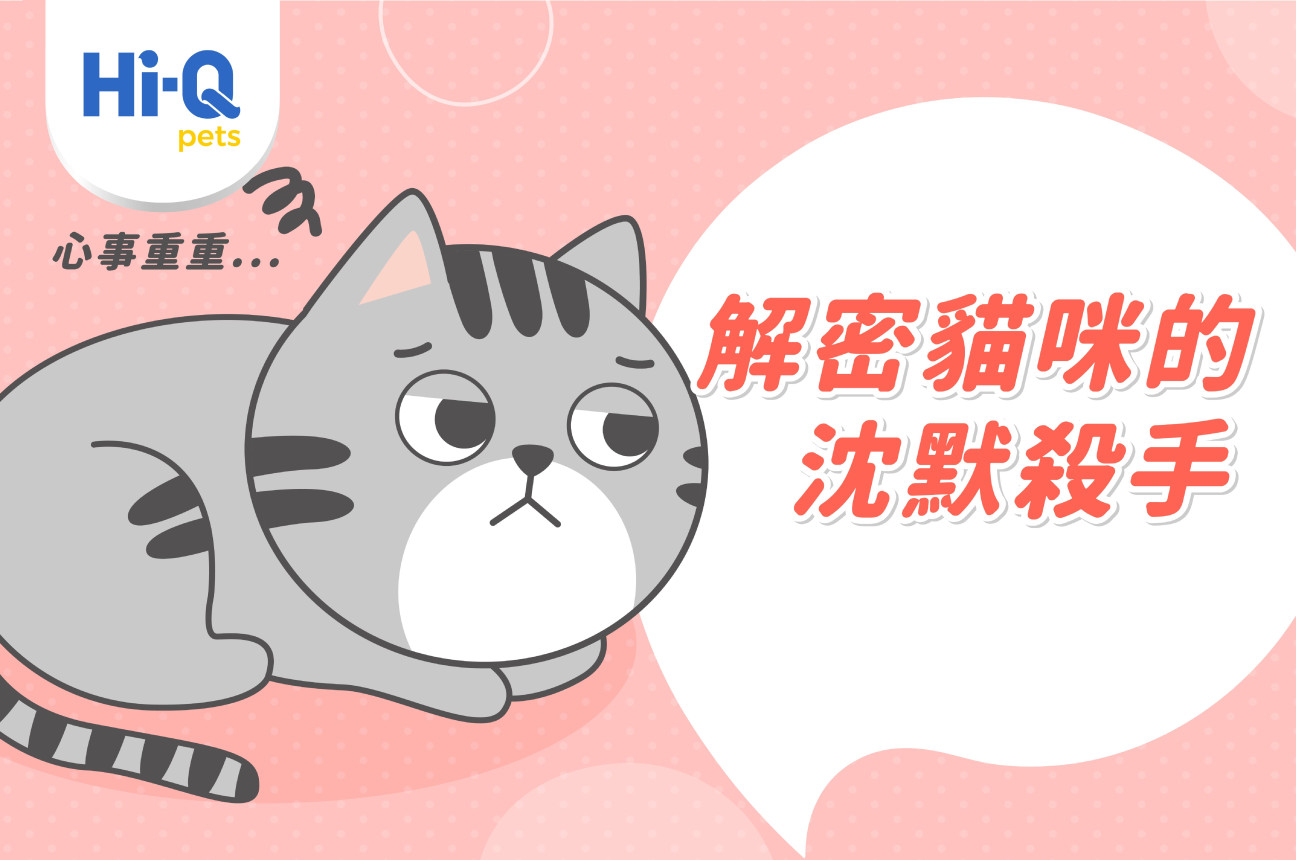 解密貓咪的沈默殺手