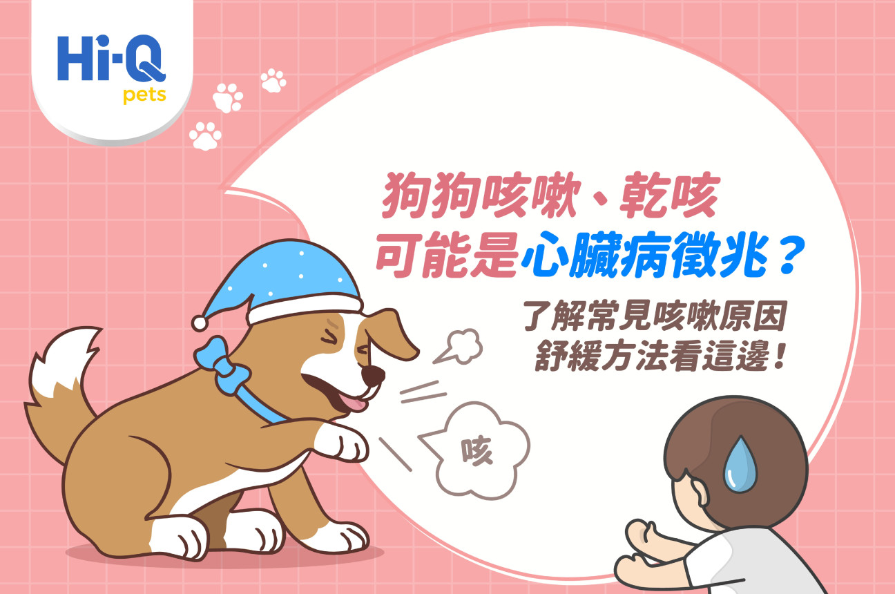 狗狗咳嗽、乾咳可能是心臟病徵兆？