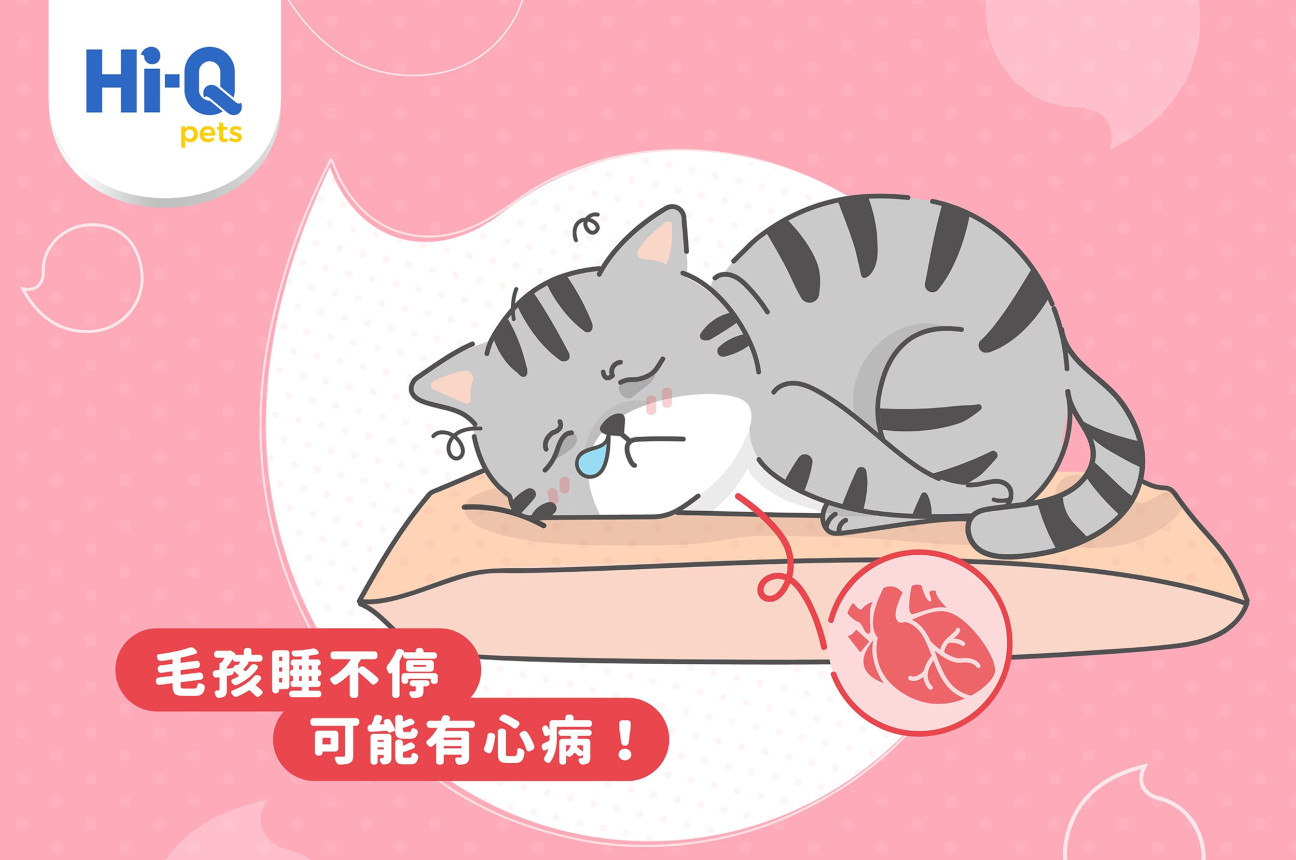 毛孩睡不停，可能有心病