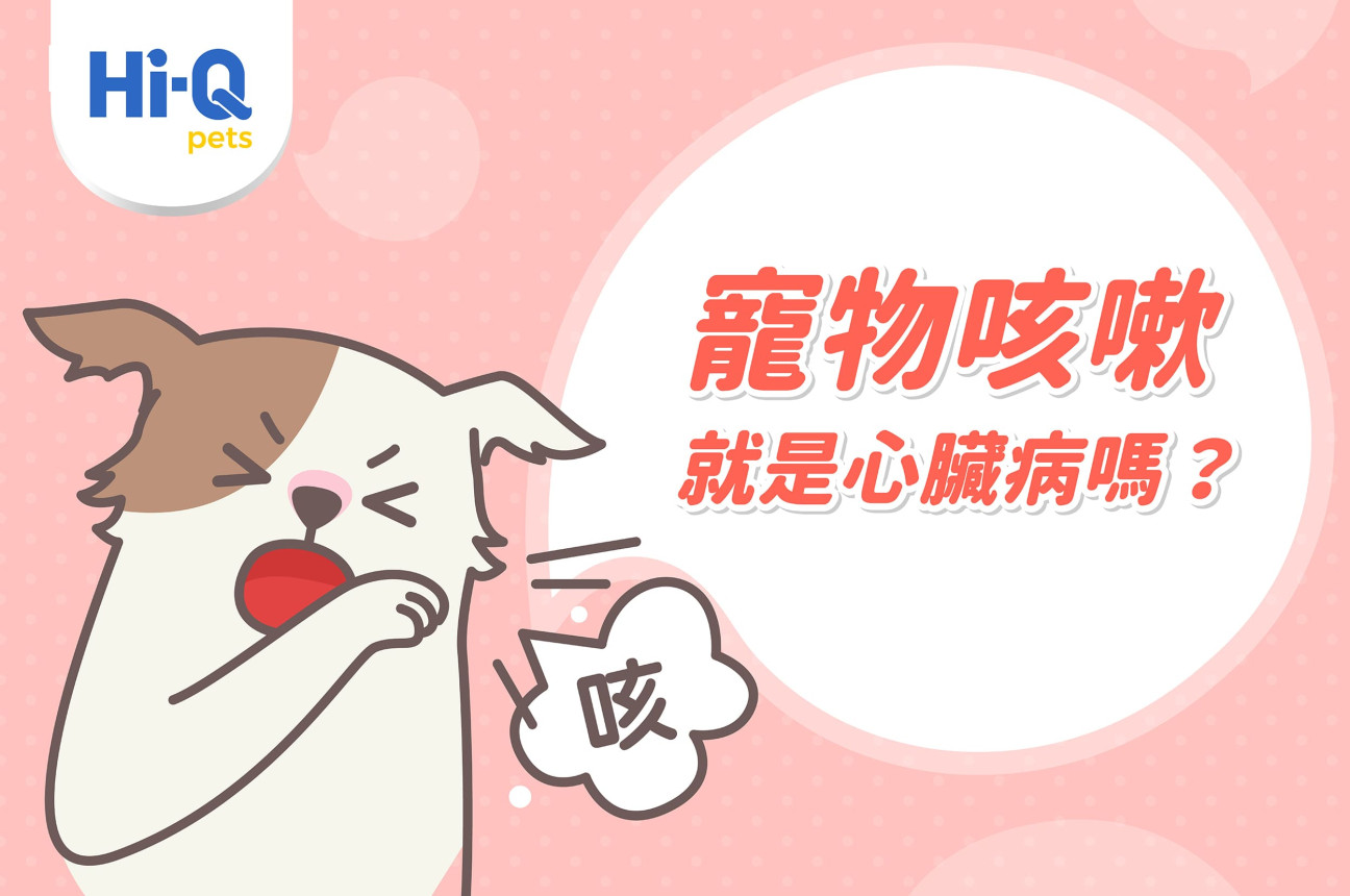毛孩咳嗽就是心臟病嗎？