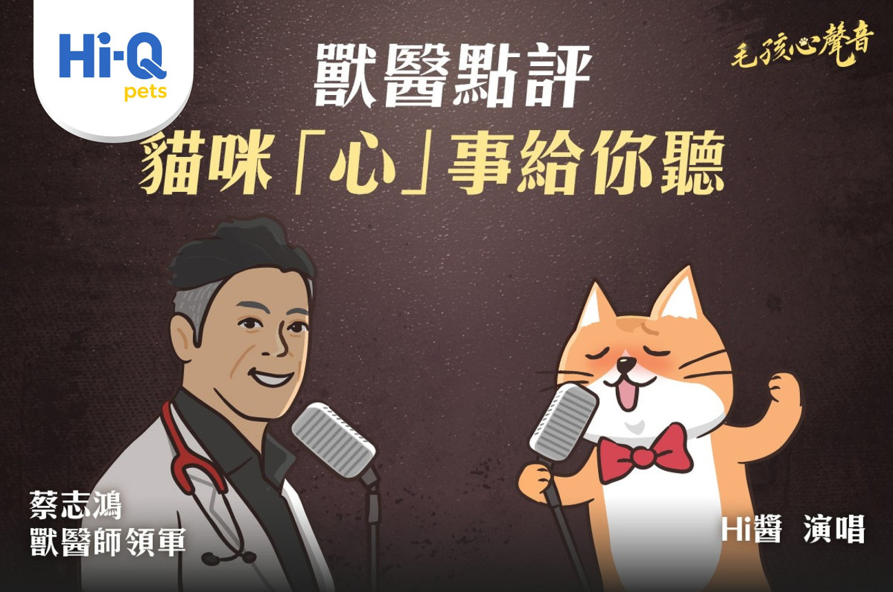 【心病】獸醫點評 貓咪「心」事給你聽