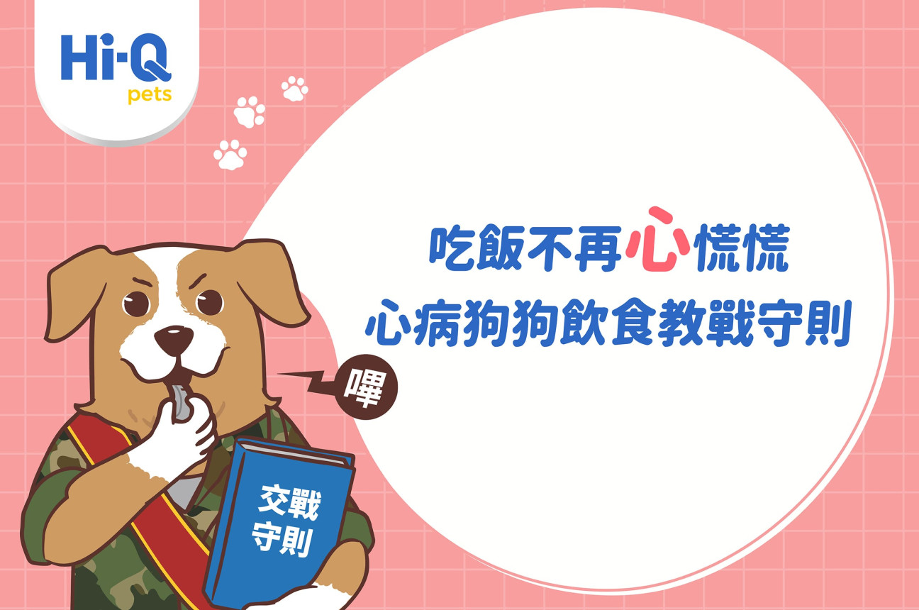 營養師的心臟病狗狗飲食教戰守則！