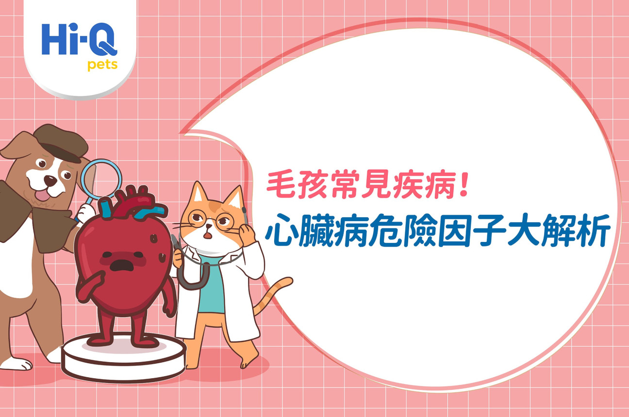毛孩常見疾病——心臟病，危險因子大解析！