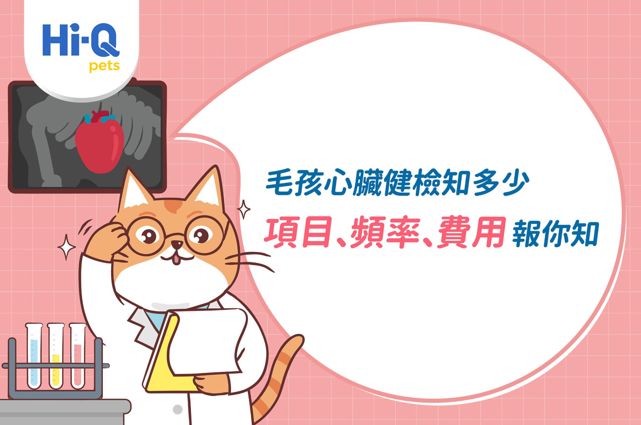 毛孩心臟健檢知多少？項目、頻率、費用，黃兆羣醫師告訴你！