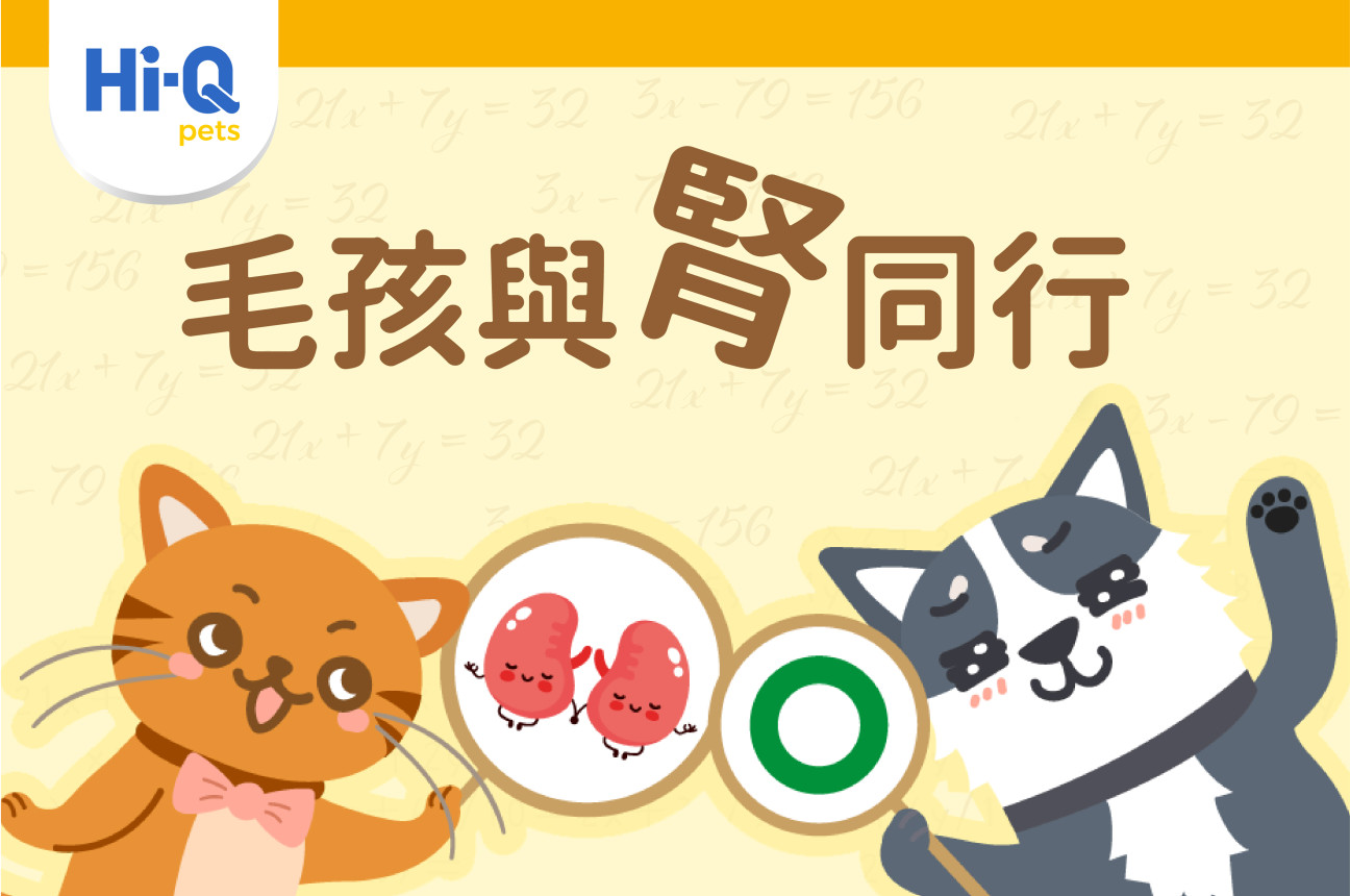 腎力方程式- 毛孩與”腎”同行!