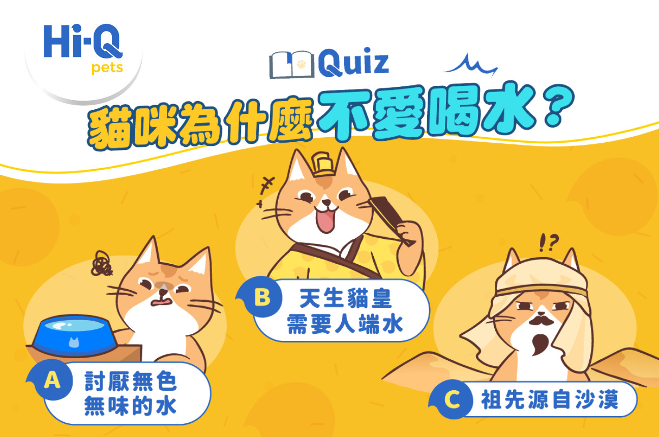 貓咪為什麼不愛喝水？