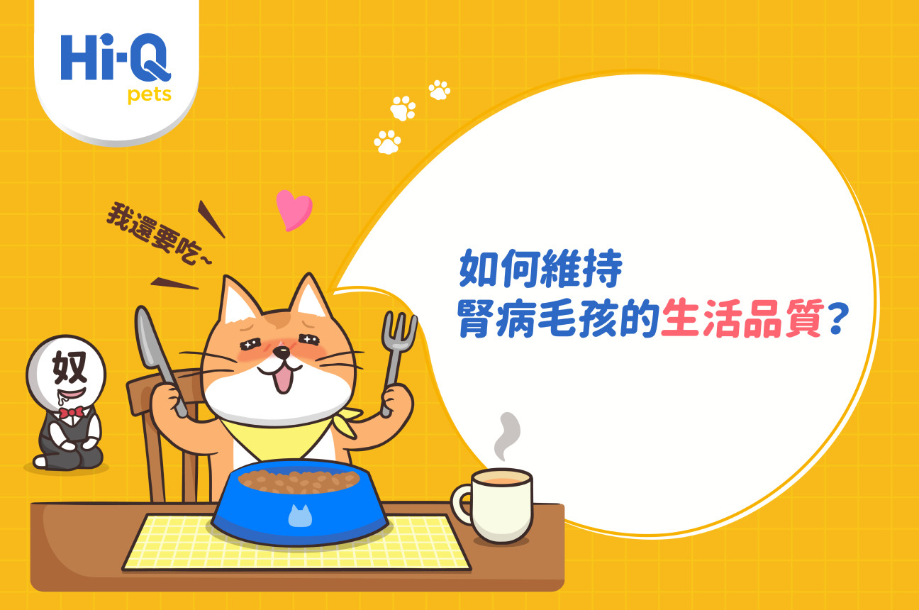 照顧腎病毛孩有訣竅！？讓鐘昇樺醫師告訴你！