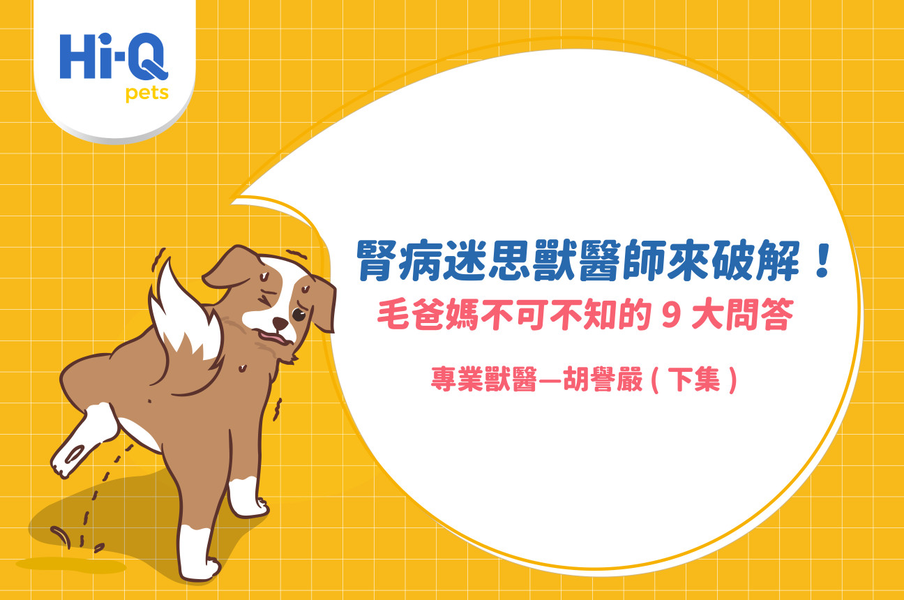 腎病迷思獸醫師來破解！毛爸媽不可不知的9大問答｜專業獸醫—胡譽嚴 (下集)