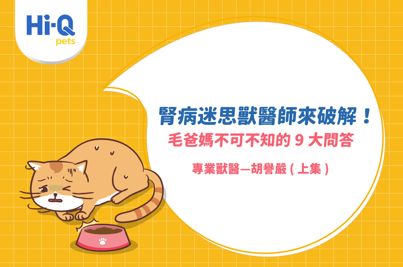 腎病迷思獸醫師來破解！毛爸媽不可不知的9大問答｜專業獸醫—胡譽嚴 (上集)