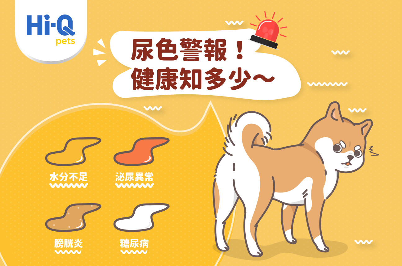 毛孩尿色警報！健康知多少