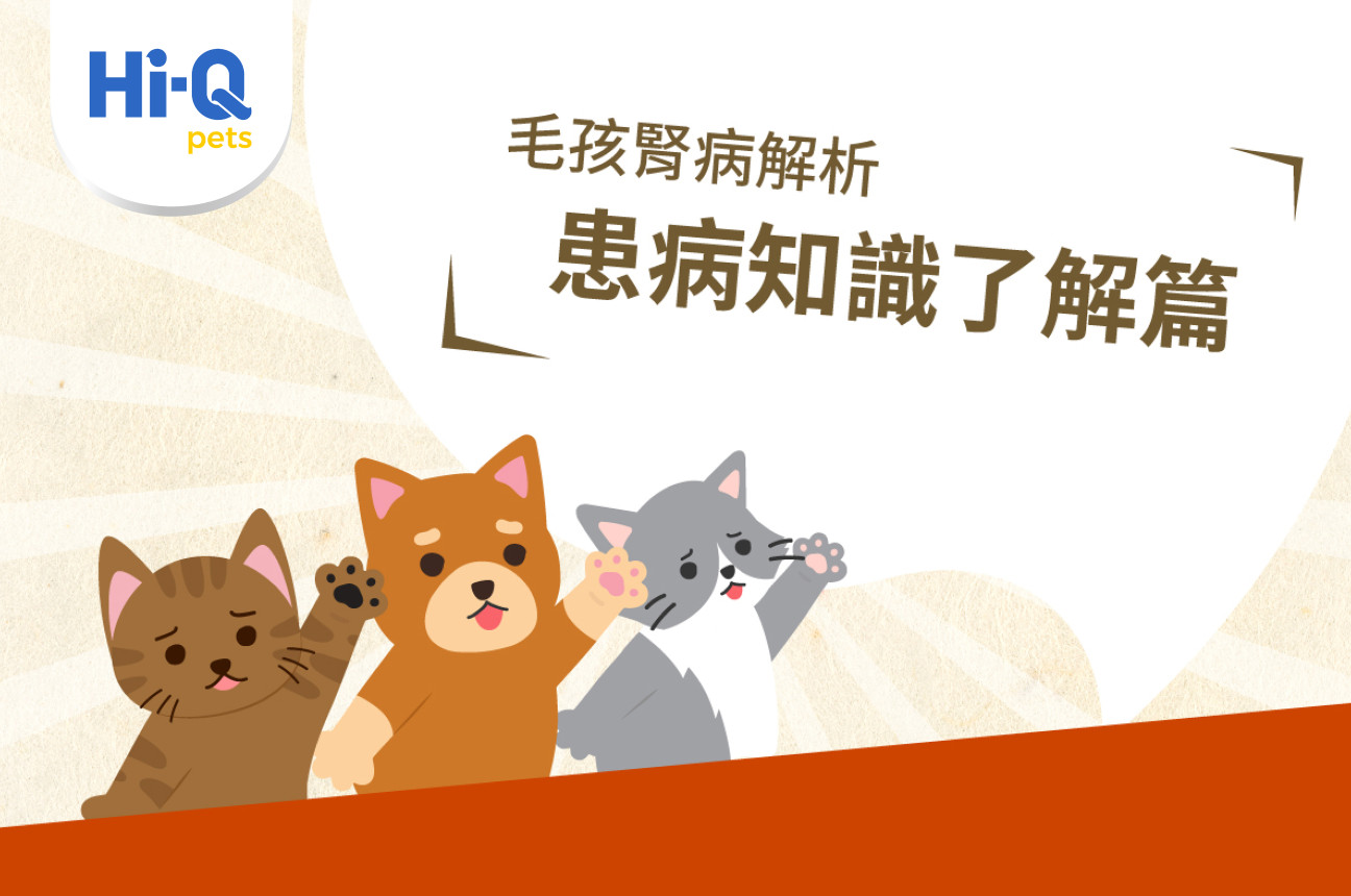 毛孩腎病解析-患病知識了解篇
