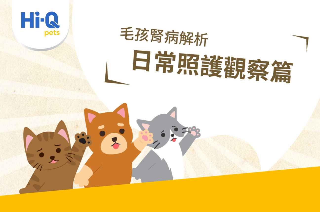 毛孩腎病解析-日常照護觀察篇