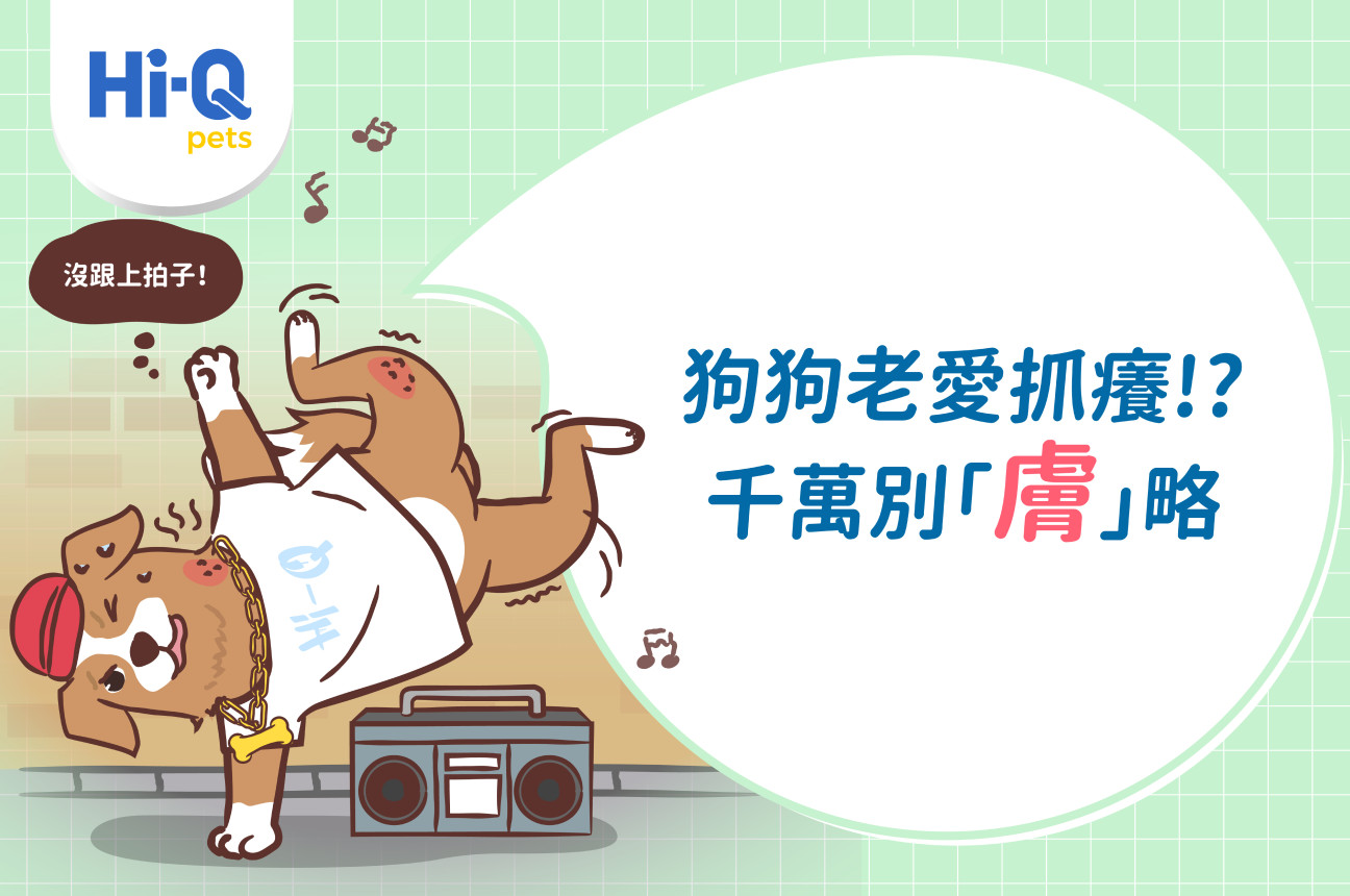 為什麼狗狗一直抓癢？陳儀倫院長教你進行毛孩日常皮膚保養！