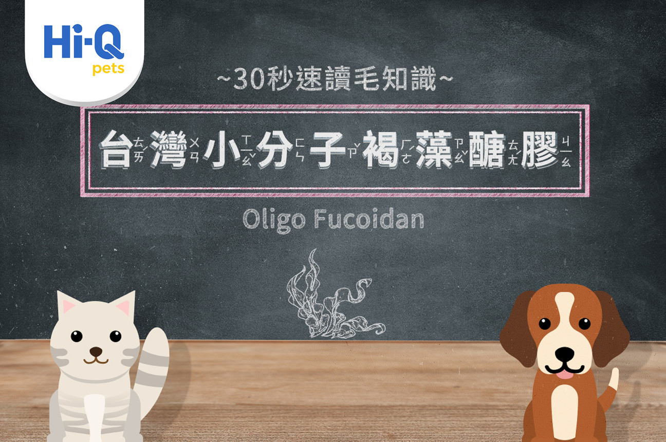 30秒速讀毛知識－Olifuco®小分子褐藻醣膠