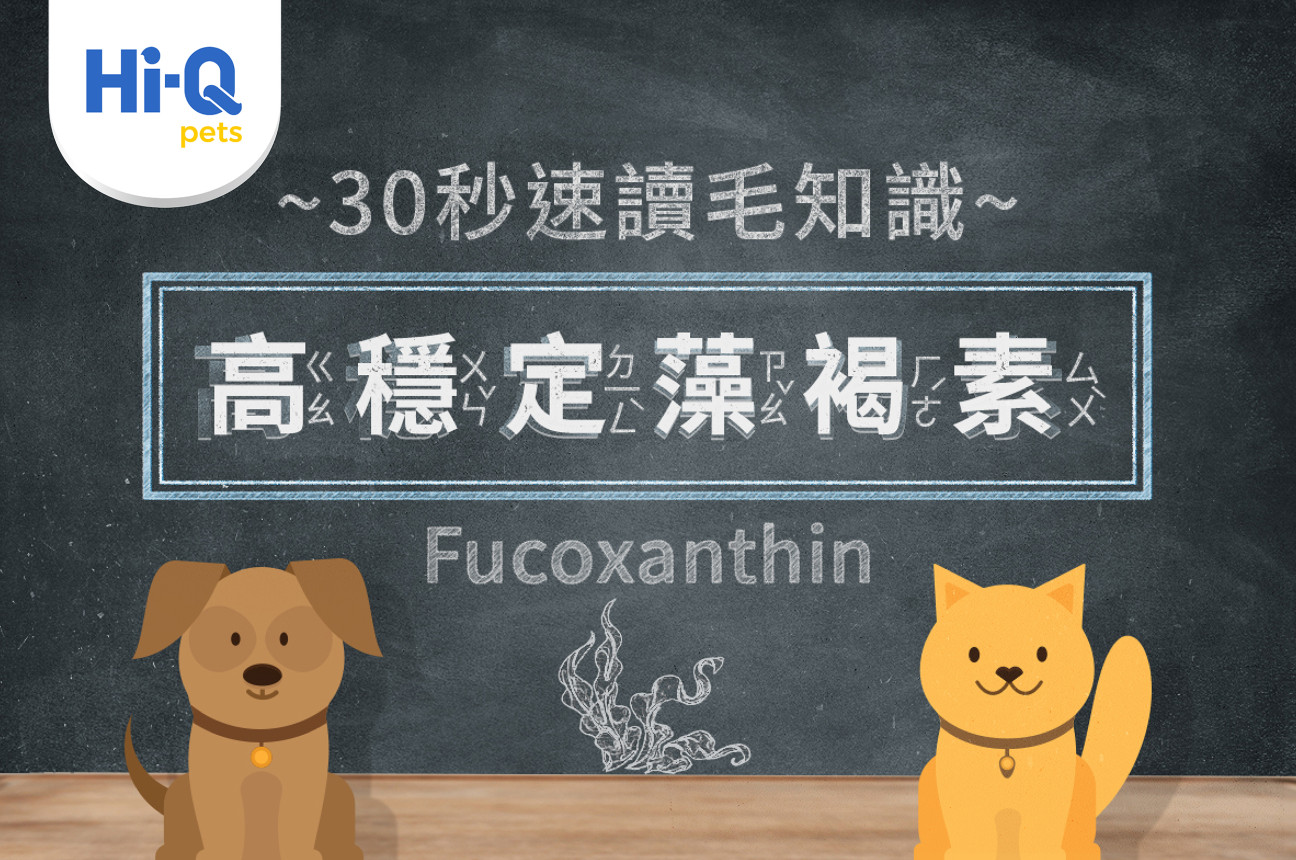 30秒速讀毛知識-高穩定藻褐素