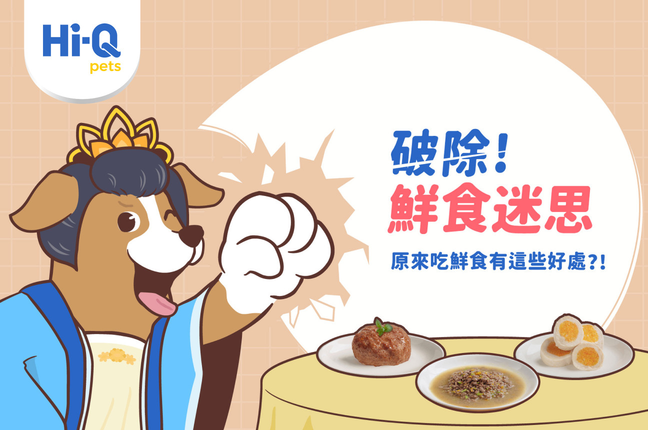 破除鮮食迷思！讓你更了解鮮食的好處