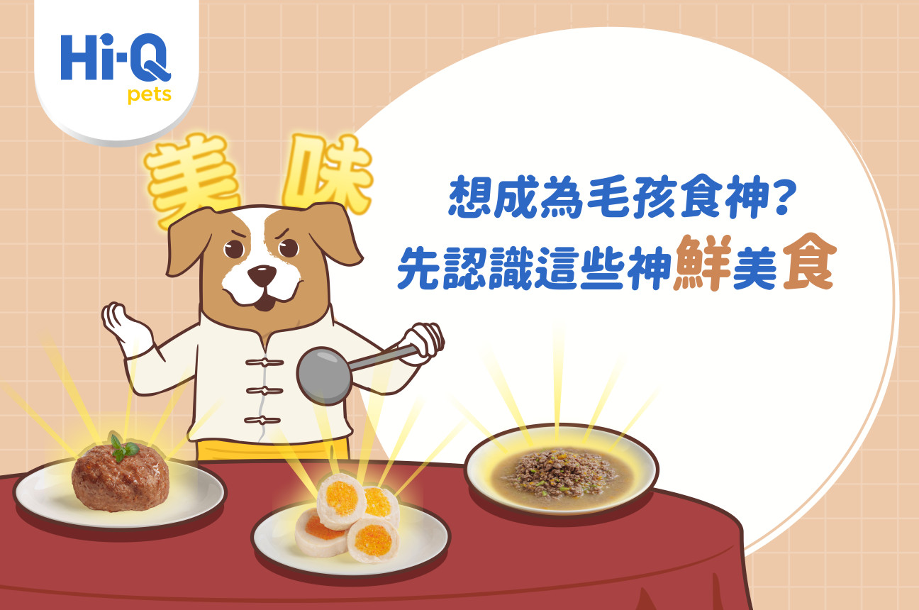 【寵物鮮食推薦】想成為毛孩食神？先認識這些神「鮮」美「食」！
