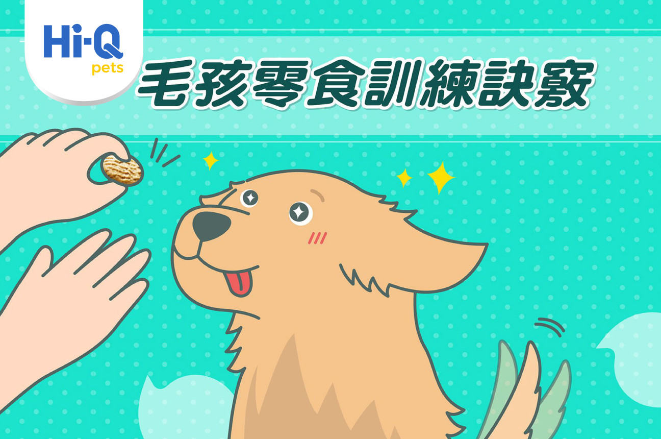 毛孩零食訓練訣竅