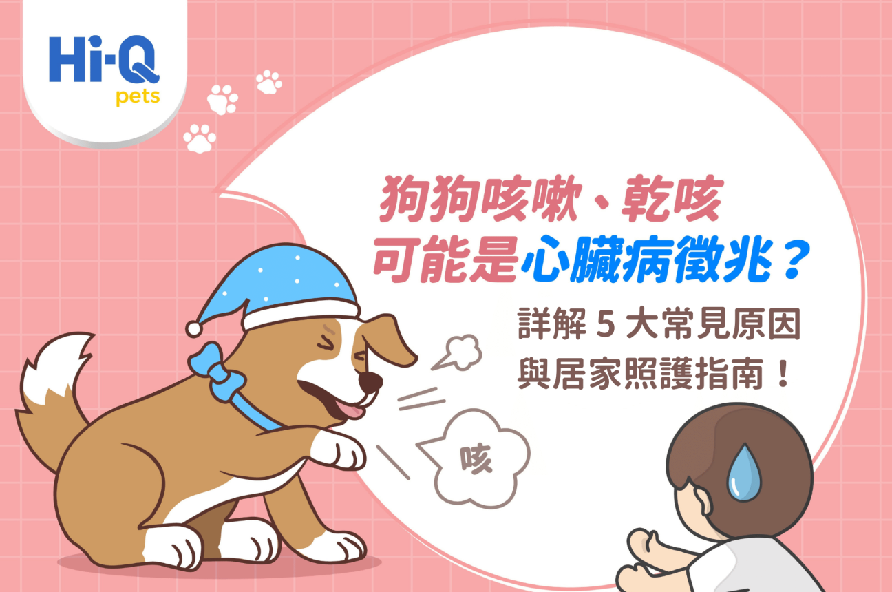狗狗咳嗽、乾咳可能是心臟病徵兆？詳解 5 大原因與居家照護指南