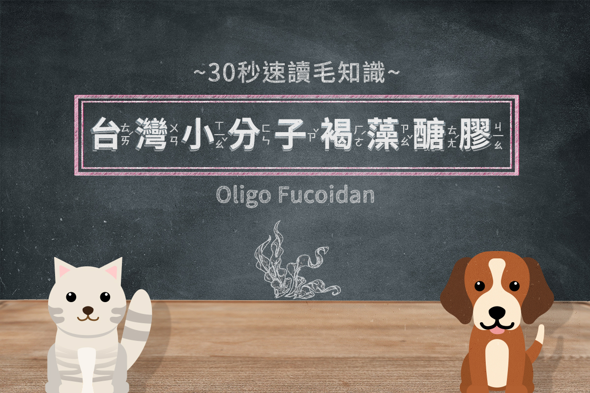 30秒速讀毛知識－Olifuco®小分子褐藻醣膠