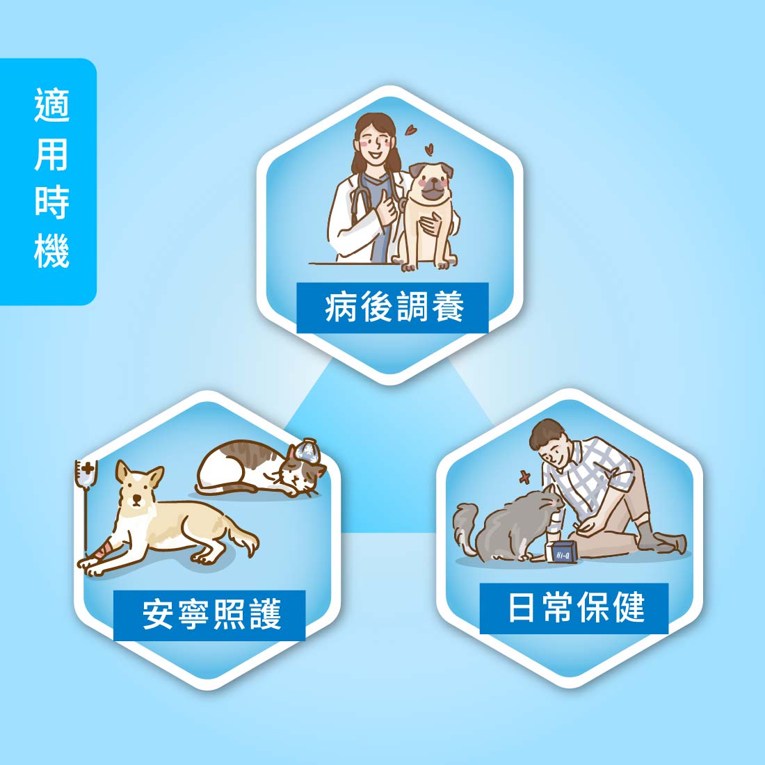 【日常照護型】藻康留