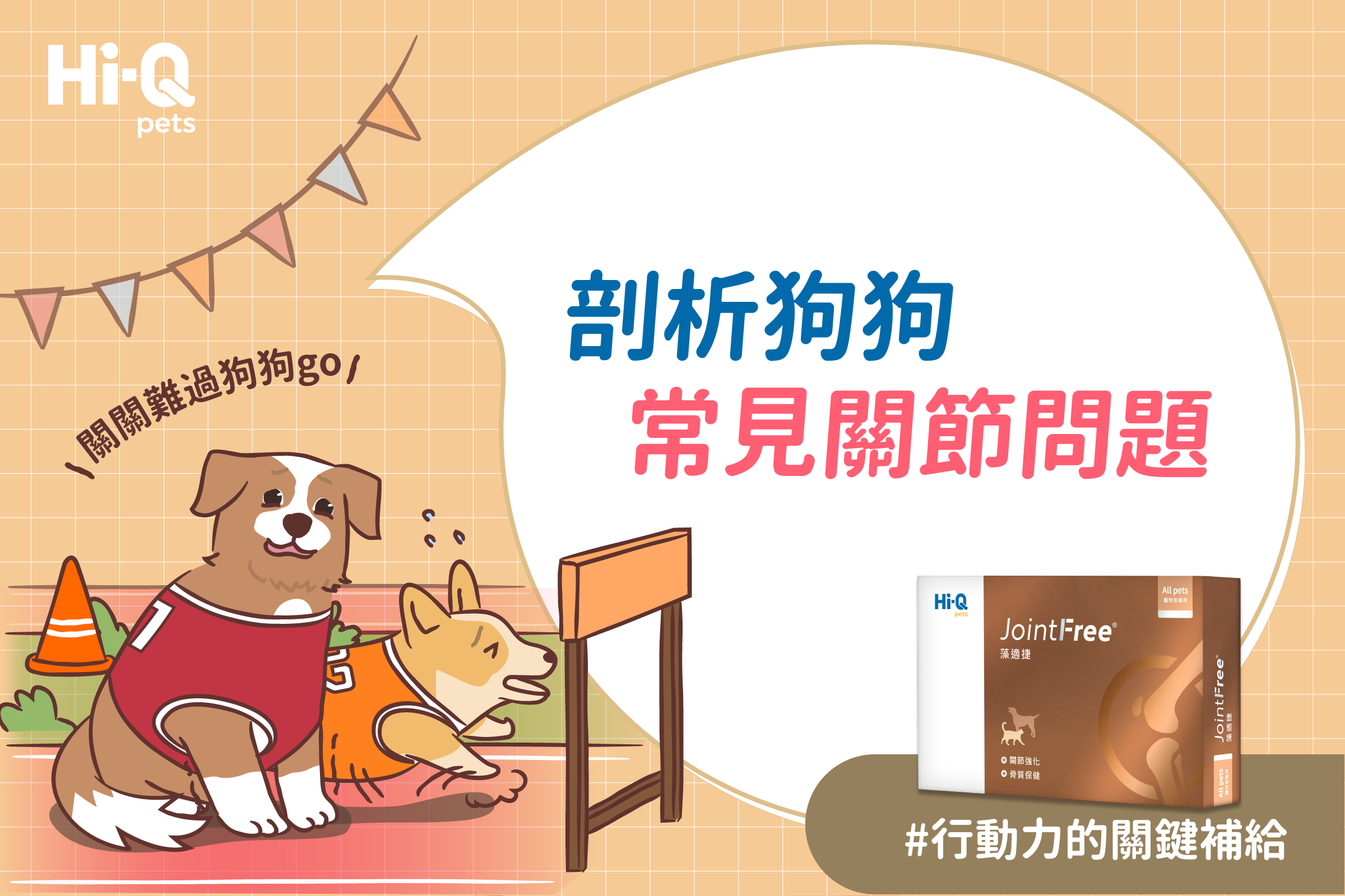 狗狗每日運動需求指南｜從體型、品種到年齡，一篇搞懂❗️ – PetView｜寵物友善資訊APP｜你的寵物生活管家, image size:2400x1600